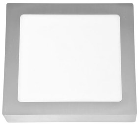 Ecolite LED Stropné svietidlo RAFA LED/18W/230V 4100K EC0242