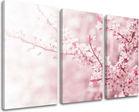 Obraz na stenu 3 dielny KVETY KV063E30 - 60x40 cm