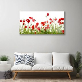 Skleneny obraz Lúka maky kvety príroda 125x50 cm