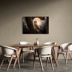 Obraz sovy (90x60 cm)