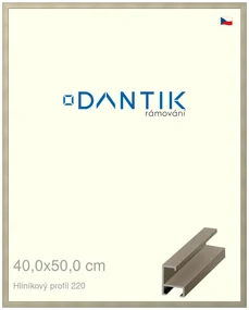 DANTIK rám na obraz 40x50 | ALU champagne (Sklo Čiré)