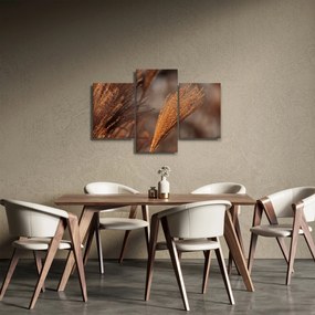 Obraz - Kortadéria (90x60 cm)