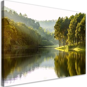 Obraz na plátně, Příroda lesního stromu krajiny - 90x60 cm