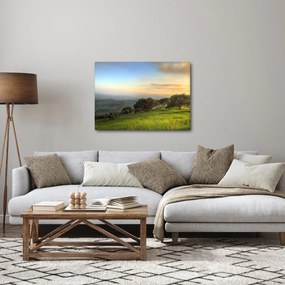 Obraz - Výhľad z kopca (70x50 cm)