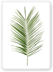 Plagát Palm Leaf Green
