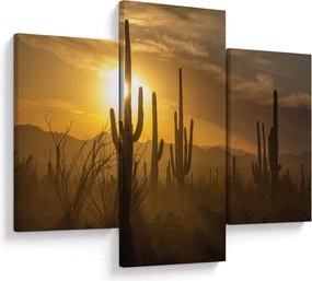 Obraz - Kaktusy Saguaro (90x60 cm)
