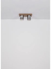 Globo 15915-2 - Stropné svietidlo UNDERWOOD 2xE27/40W/230V 16x41 cm