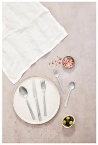 Livarno home Príborová súprava z nehrdzavejúcej ocele, 60-dielna (matný)  (100382753)