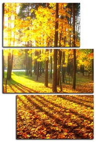 Obraz na plátne - Jesenný les - obdĺžnik 7176D (120x80 cm)