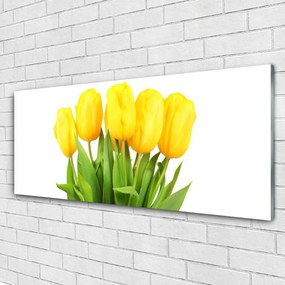 Obraz plexi Tulipány kvety rastlina 125x50 cm