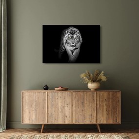 Obraz - Tiger so žltými očami (90x60 cm)