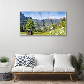 Obraz na skle Hora pole príroda 125x50 cm