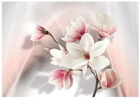 Fototapeta - White magnolias Veľkosť: 98x70, Verzia: Samolepiaca