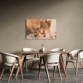 Obraz- Levíčatá (90x60 cm)