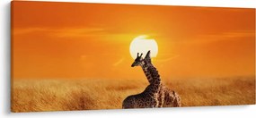 Obraz - Žirafy v národnom parku Serengeti (120x50 cm)