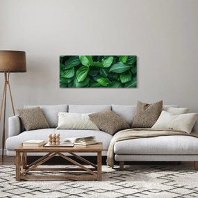 Obraz - Zelené listy (120x50 cm)