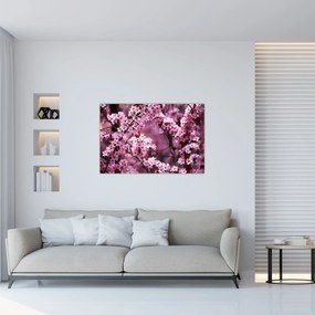 Obraz - Ružová sakura (90x60 cm)
