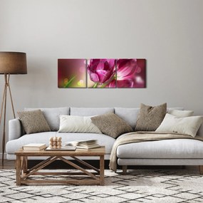 Obraz ružových tulipánov (s hodinami) (90x30 cm)