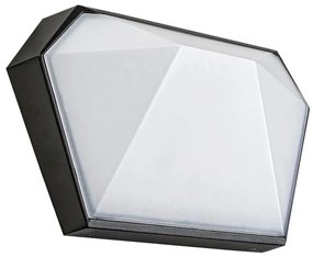 Rabalux Rabalux 8114 - LED Vonkajšie nástenné svietidlo SALVADOR LED/10W/230V IP65 RL8114