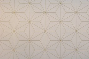 Dekorstudio Luxusný obrus na stôl Stars - zlatý SW19 Rozmer obrusu (šírka x dĺžka): 110x160cm