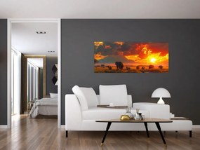 Obraz - Stádo slonov (120x50 cm)