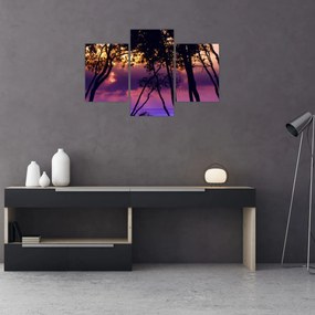 Obraz - Stromy pri západe slnka (90x60 cm)