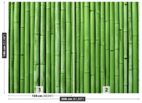 Fototapeta Vliesová Bambusová zelená 104x70 cm