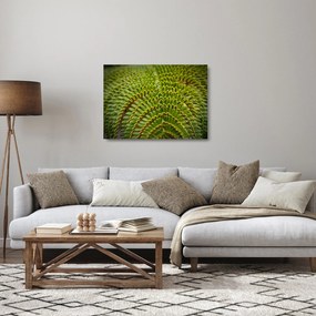 Sklenený obraz - Papraď (70x50 cm)