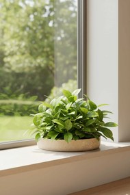 Dekoračná miska ORYVEN, sklolaminát, priemer 34 cm, béžová