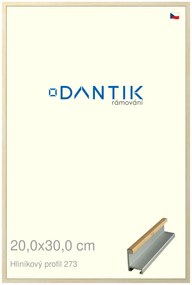 DANTIK rám na obraz 20x30 | ALU Dýha javor (Sklo Čiré)