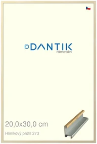 DANTIK rám na obraz 20x30 | ALU Dýha javor (Sklo Čiré)