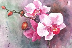 Obraz - Orchidey, aquarel (90x60 cm)
