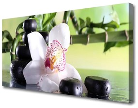 Obraz Canvas Orchidea kamene bambus 100x50 cm