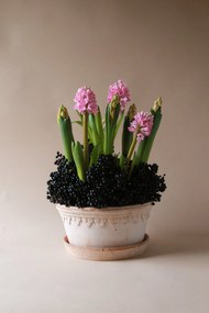 Malý kvetináč Københavner nízky s podstavcom 21 cm ružový