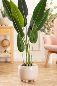 PLASTOVÝ KVETINÁČ BOTANICA SADA 2KS 30X24 CM+23X18,5 CM BÉŽOVÁ