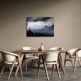 Obraz hmly nad lesom (70x50 cm)