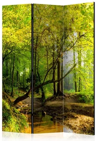 Artgeist Paraván - Forest Clearing [Room Dividers]