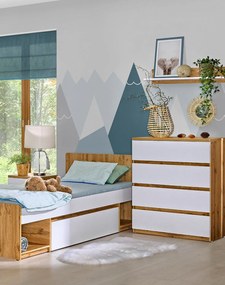 Komoda so zásuvkami a skrinkami ARCA AR6