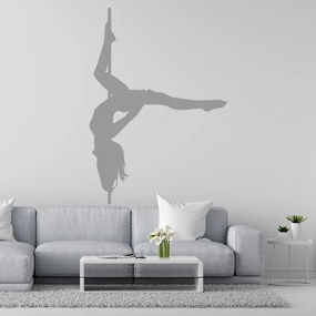 Veselá Stena Samolepka Pole dance Farba: šedá, Veľkosť: 80 x 56 cm