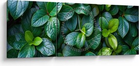 Obraz - Zelené rastliny (s hodinami) (90x30 cm)