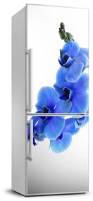 Nálepka fototapeta Modrá orchidea FridgeStick-70x190-f-91549599