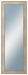 DANTIK - Zrkadlo v rámu, rozmer s rámom 50x140 cm z lišty TOOTH strieborná (2779)