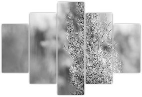 Obraz - Boho pampas grass (150x105 cm)