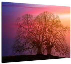 Sklenený obraz stromov v hmle (70x50 cm)