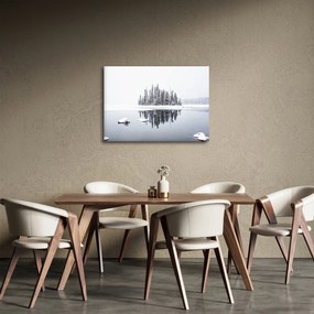 Obraz- Bolo bielo (70x50 cm)