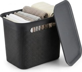 Rotho Úložný box s víkem a s madly BRISEN 7l, 26x18x21cm, černý