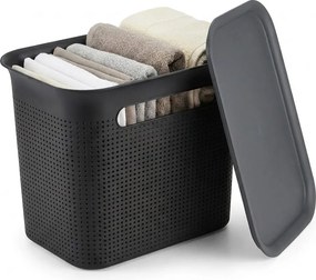 Rotho Úložný box s vekom a s držadlami BRISEN 7l, 26x18x21cm, čierny