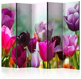 Paraván - Beautiful Tulips II [Room Dividers] Veľkosť: 225x172, Verzia: Akustický