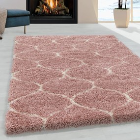 Ružový koberec 160x230 cm Salsa – Ayyildiz Carpets