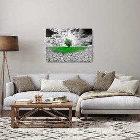 Sklenený obraz - Kus prírody v meste (70x50 cm)